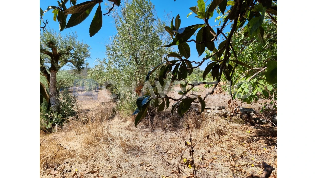 Moradia T4 para Venda em Chãos Foto 11