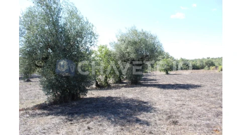 Moradia T4 para Venda em Chãos