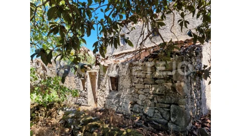 Moradia T4 para Venda em Chãos