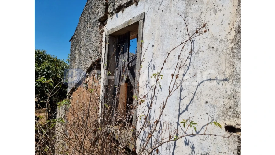 Moradia T4 para Venda em Chãos Foto 4