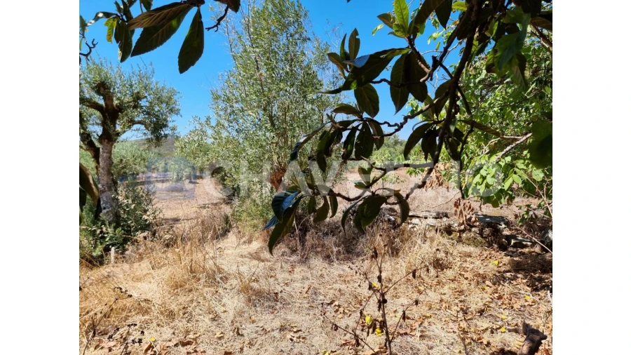 Moradia T4 para Venda em Chãos Foto 11