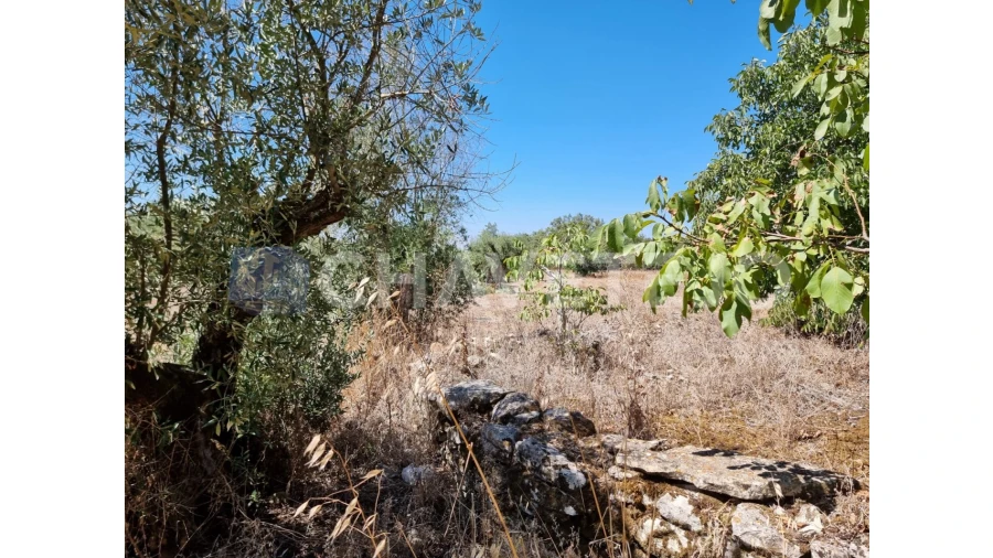 Moradia T4 para Venda em Chãos Foto 12