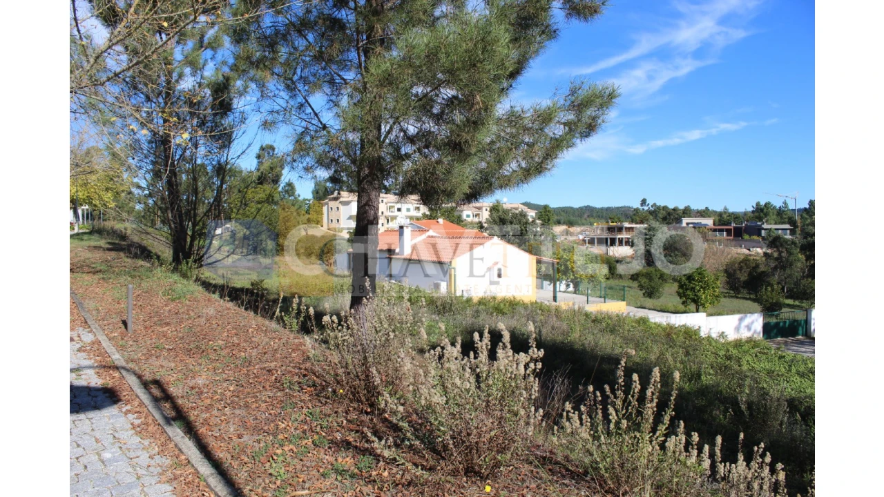 Terreno para Venda em Aguas Belas Foto 6