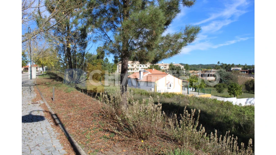 Terreno para Venda em Aguas Belas Foto 3