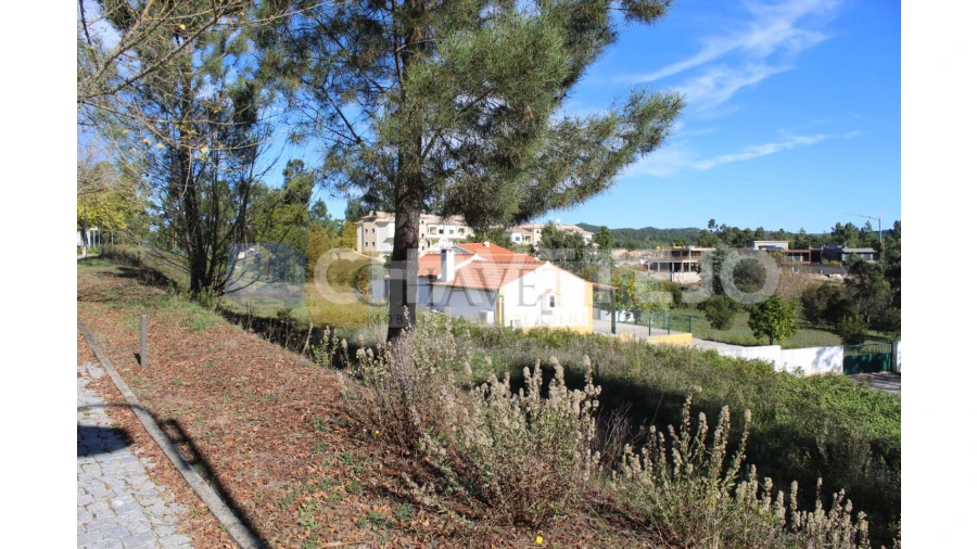 Terreno para Venda em Aguas Belas Foto 6