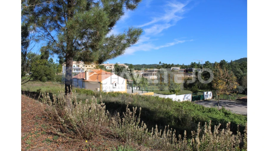 Terreno para Venda em Aguas Belas Foto 7