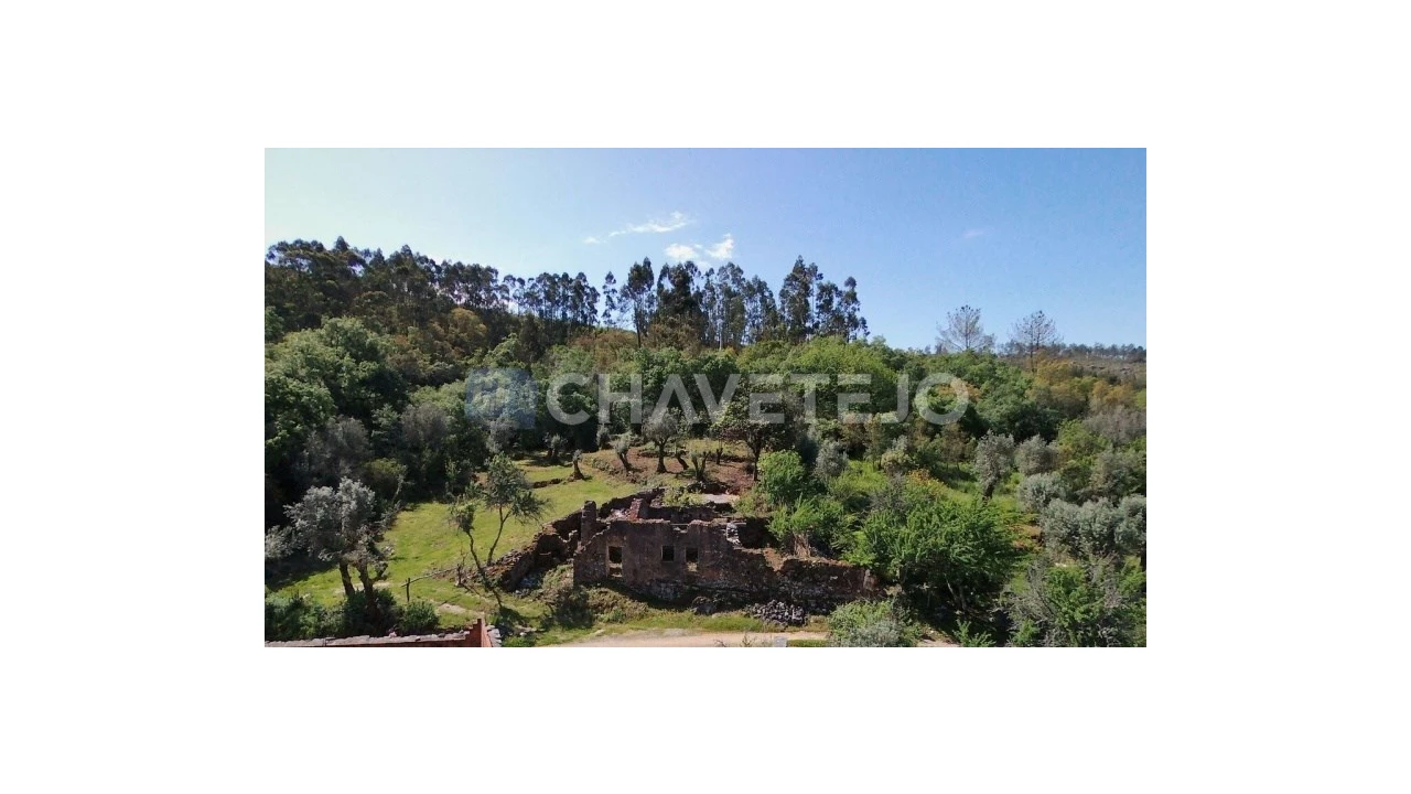 Terreno para Venda em Pelma Foto 3