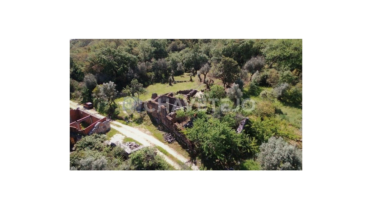 Terreno para Venda em Pelma Foto 4