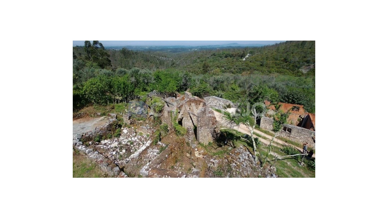 Terreno para Venda em Pelma Foto 5