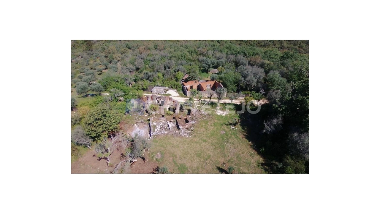 Terreno para Venda em Pelma Foto 6