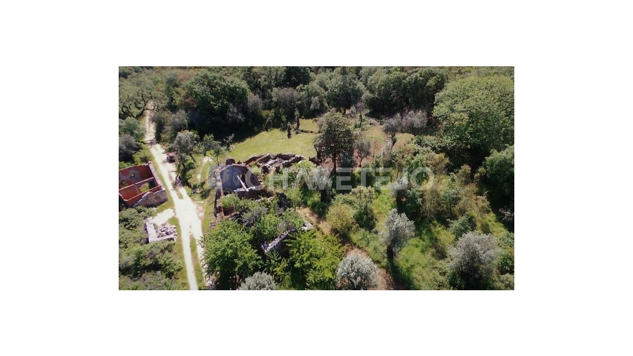 Terreno para Venda em Pelma Foto 7