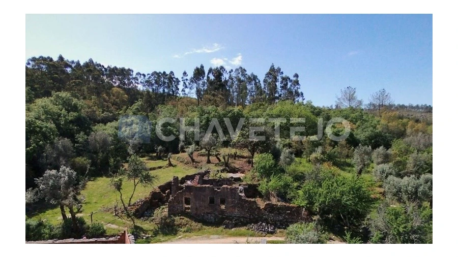 Terreno para Venda em Pelma Foto 3