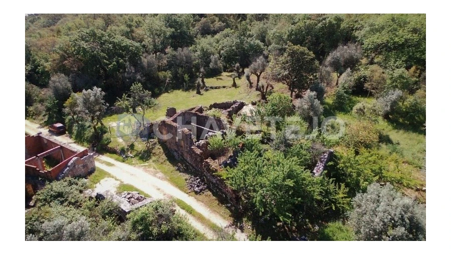 Terreno para Venda em Pelma Foto 4