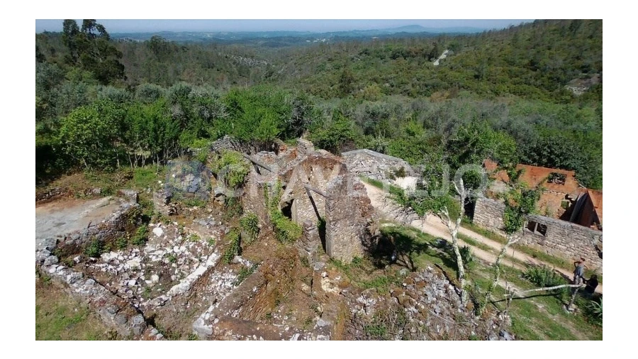 Terreno para Venda em Pelma Foto 5