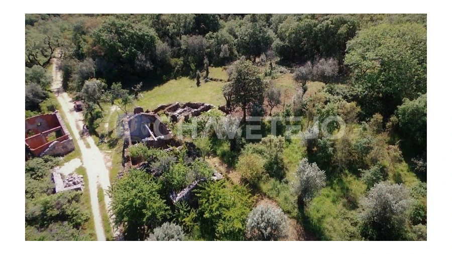 Terreno para Venda em Pelma Foto 7