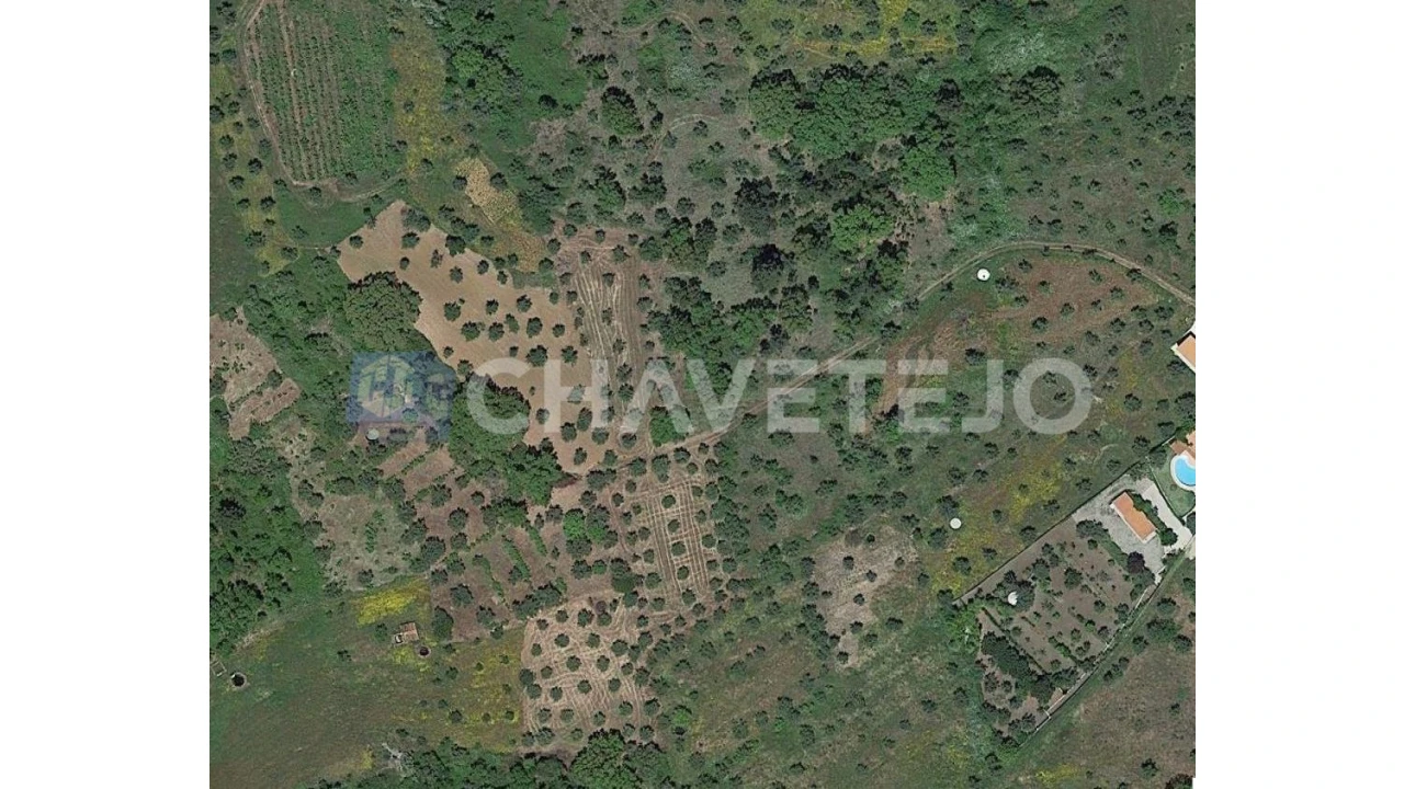 Terreno Agricola ou Rústico para Venda em Olalhas Foto 3