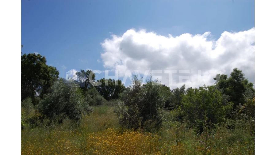Terreno Agricola ou Rústico para Venda em Olalhas Foto 1