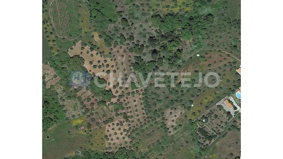 Terreno Agricola ou Rústico para Venda em Olalhas Foto 3