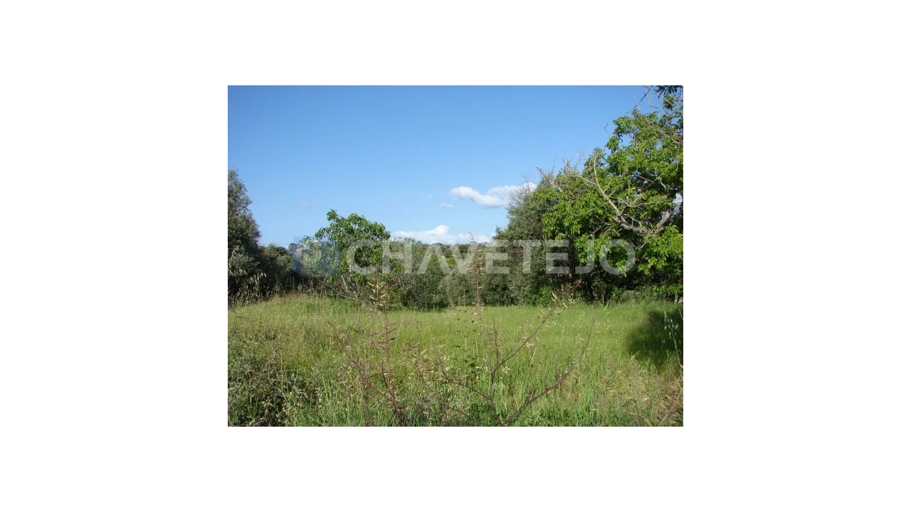 Terreno para Venda em Olaia e Paço Foto 1