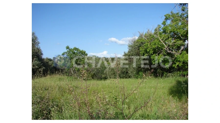 Terreno para Venda em Olaia e Paço Foto 1