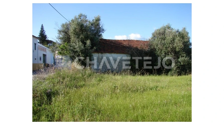 Terreno para Venda em Olaia e Paço Foto 3
