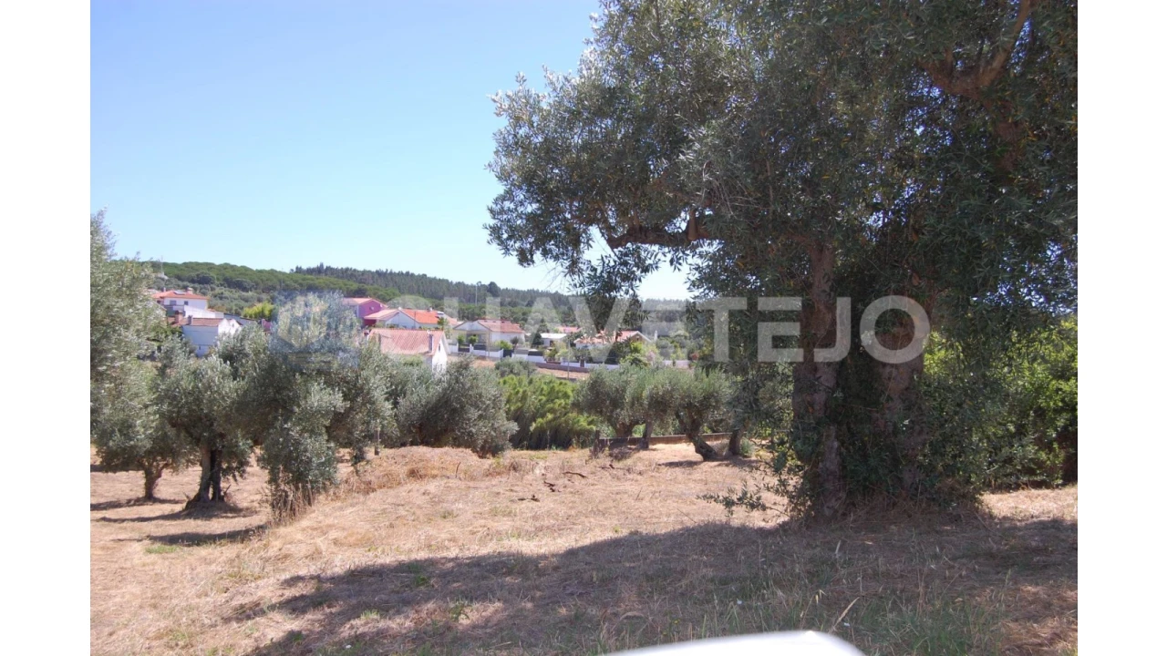 Terreno para Venda em Asseiceira Foto 6