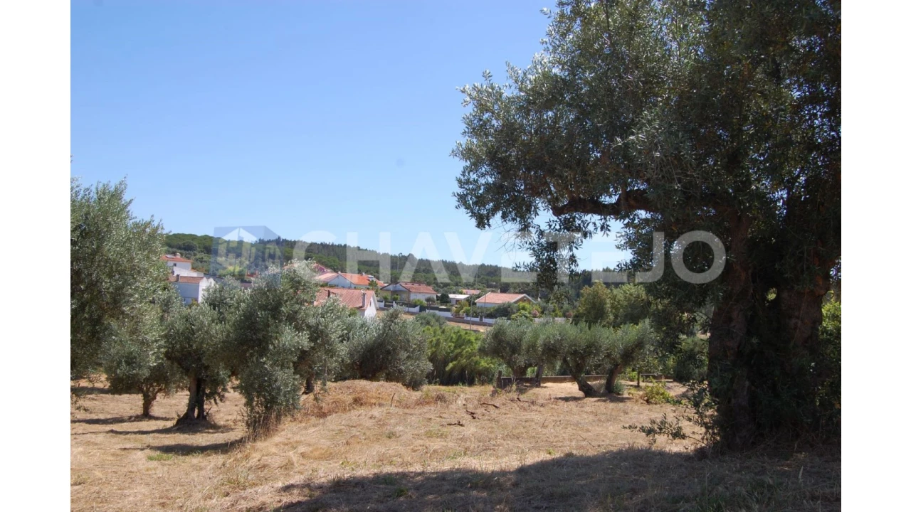 Terreno para Venda em Asseiceira Foto 7