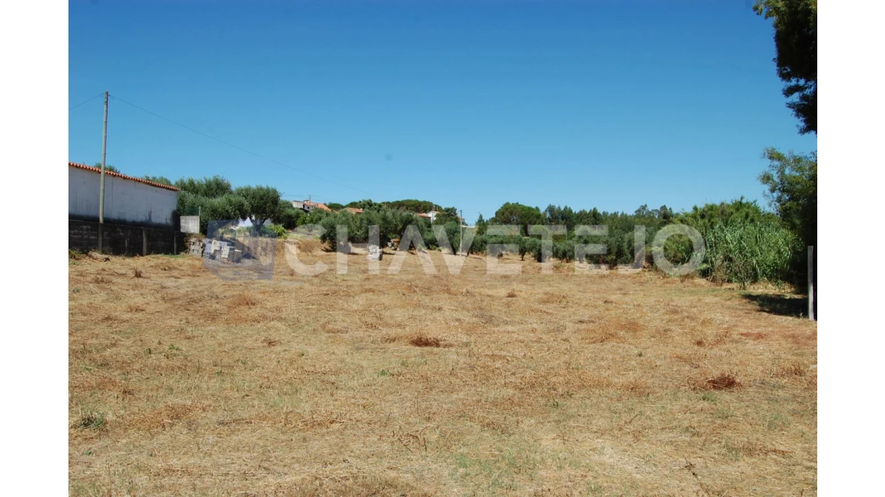 Terreno para Venda em Asseiceira Foto 8