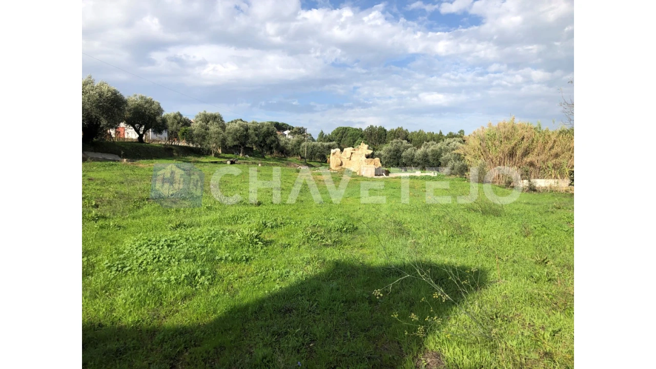 Terreno para Venda em Asseiceira Foto 1