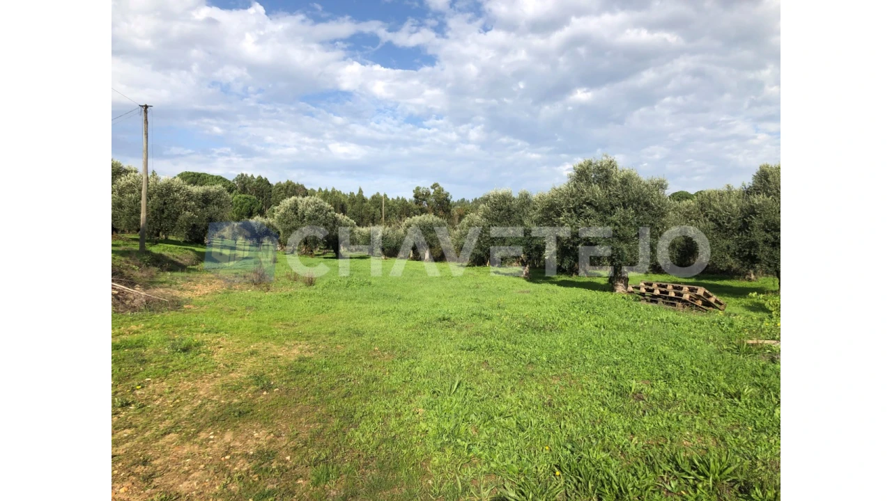 Terreno para Venda em Asseiceira Foto 2