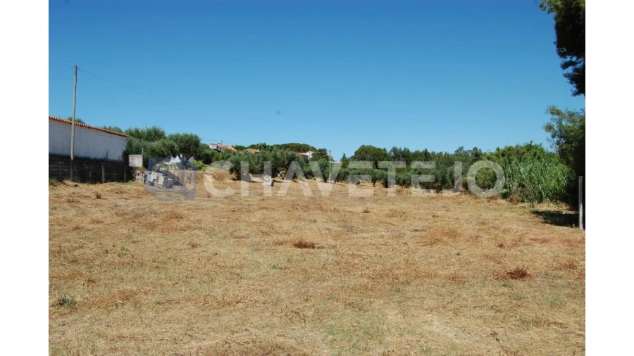 Terreno para Venda em Asseiceira Foto 8