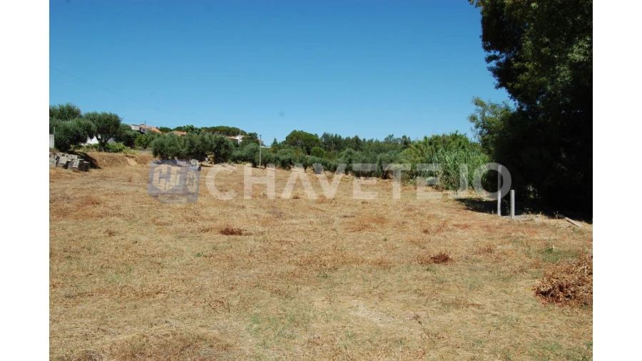 Terreno para Venda em Asseiceira Foto 9