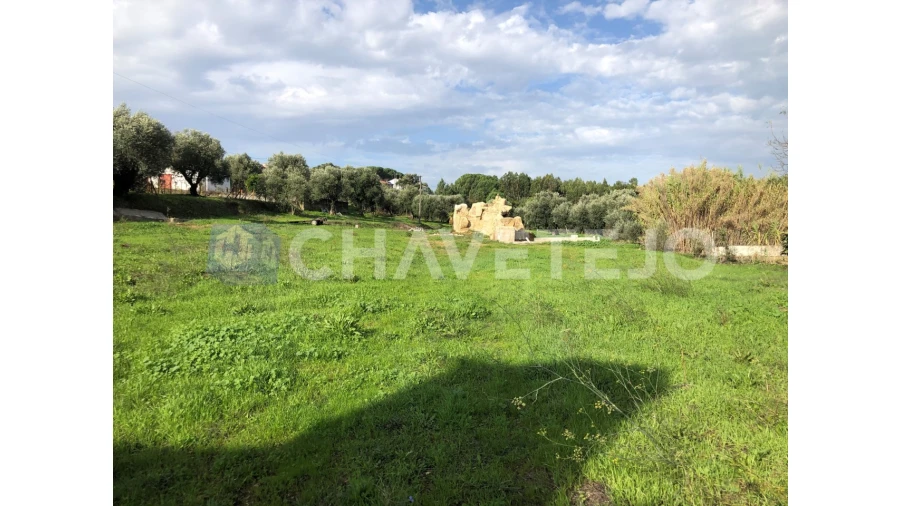 Terreno para Venda em Asseiceira Foto 1