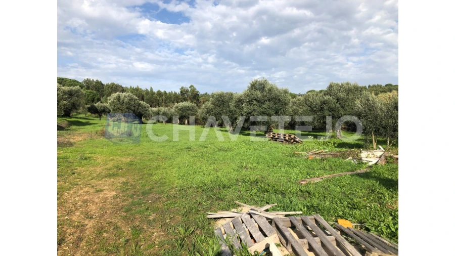 Terreno para Venda em Asseiceira Foto 5