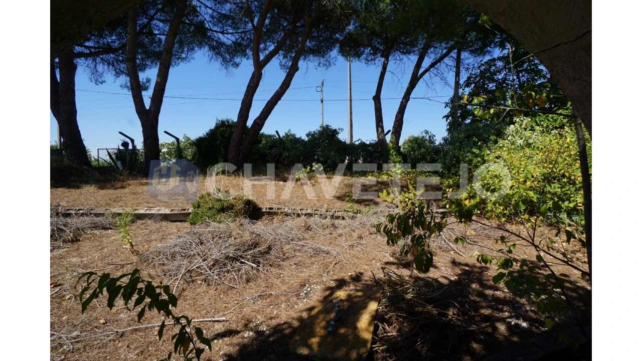 Quinta T2 para Venda em São João Baptista e Santa Maria dos Olivais Foto 38