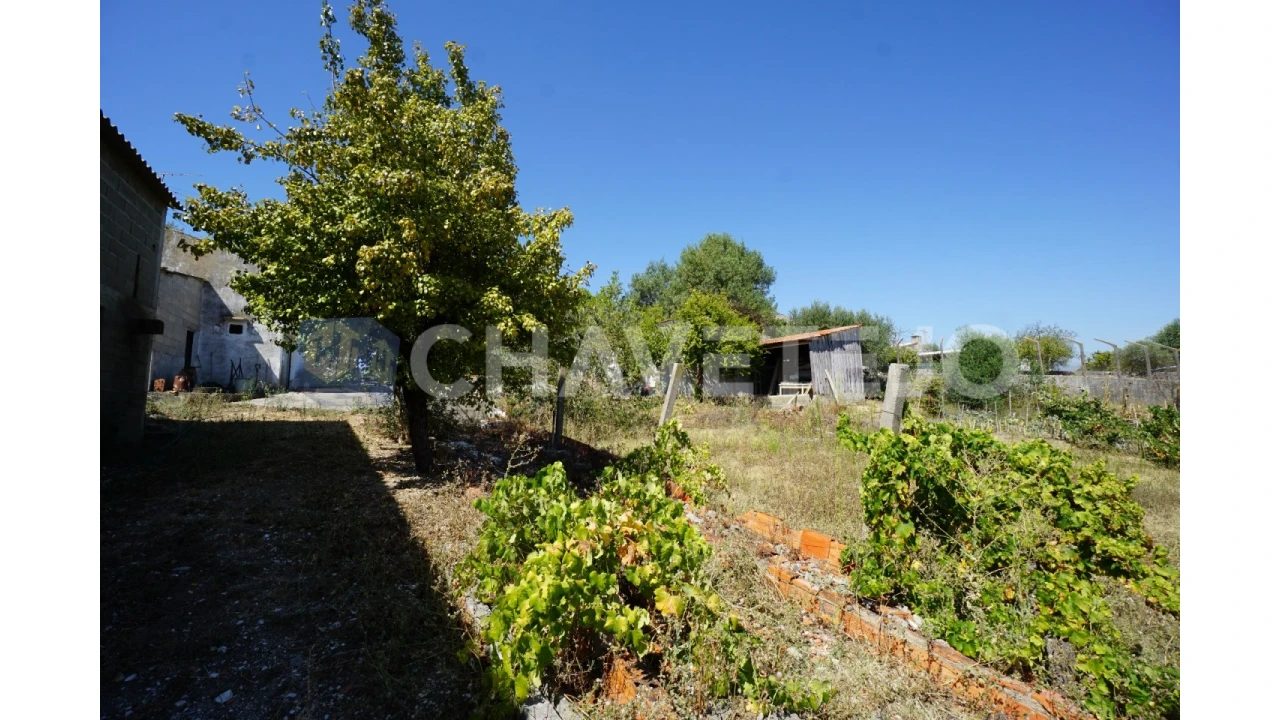 Quinta T2 para Venda em São João Baptista e Santa Maria dos Olivais Foto 44