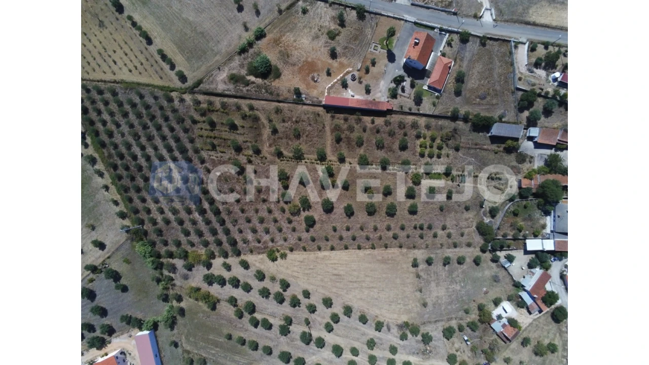 Quinta T2 para Venda em São João Baptista e Santa Maria dos Olivais Foto 56