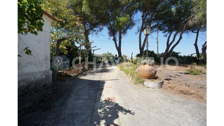 Quinta T2 para Venda em São João Baptista e Santa Maria dos Olivais Foto 49