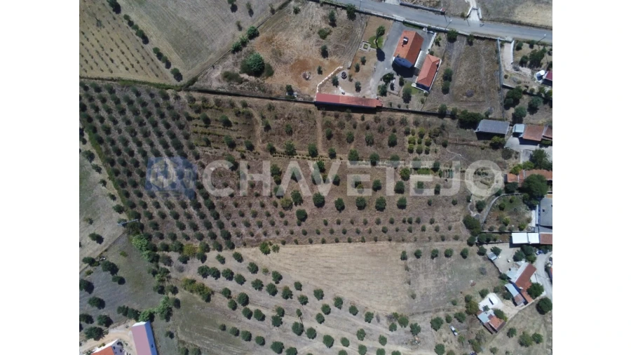 Quinta T2 para Venda em São João Baptista e Santa Maria dos Olivais Foto 56