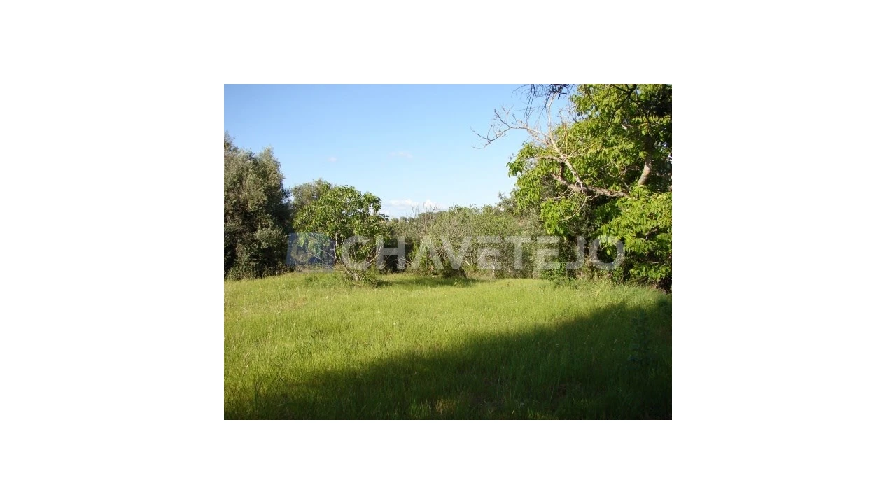 Terreno para Venda em Olaia e Paço Foto 1