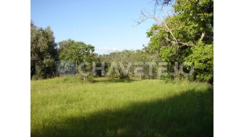 Terreno para Venda em Olaia e Paço