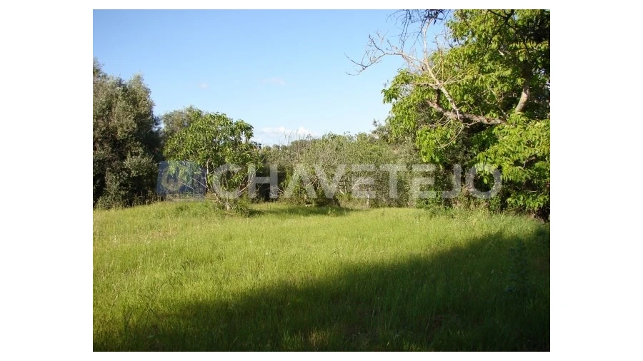 Terreno para Venda em Olaia e Paço Foto 1