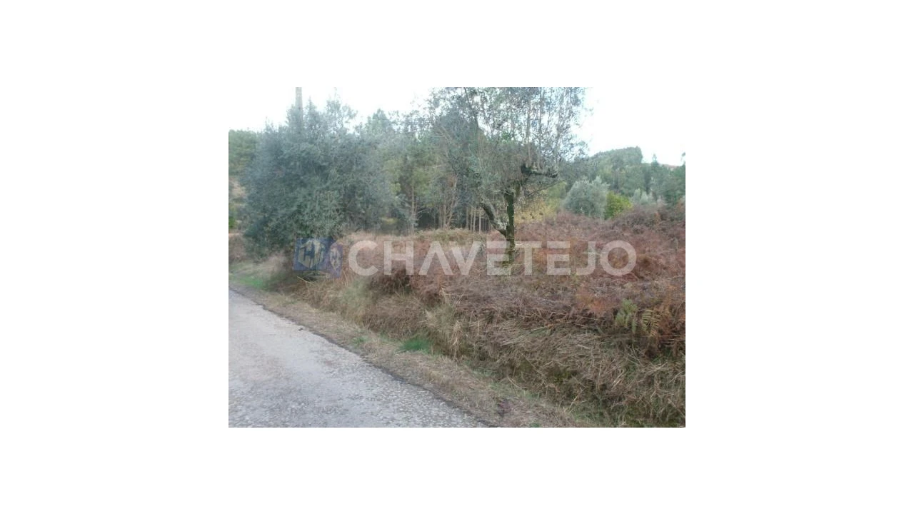 Terreno para Venda em Serra e Junceira Foto 1