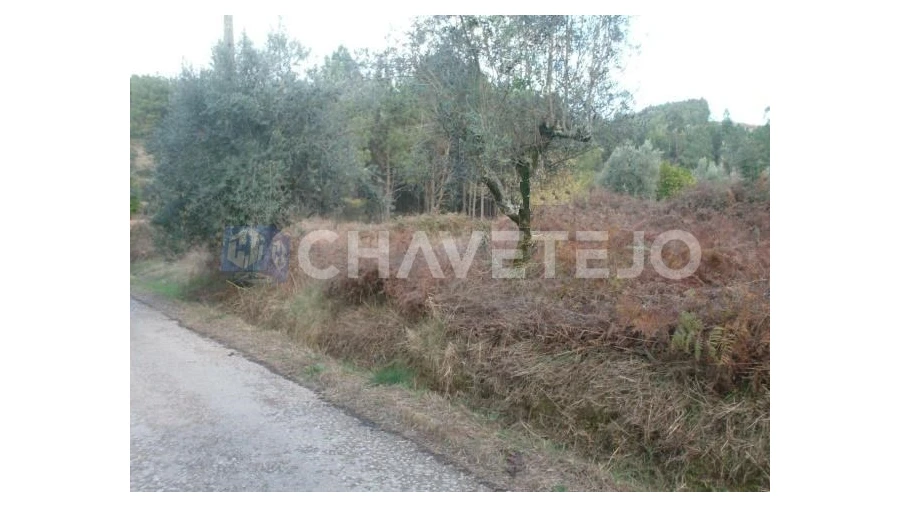 Terreno para Venda em Serra e Junceira