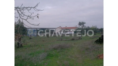 Terreno para Venda em Paialvo