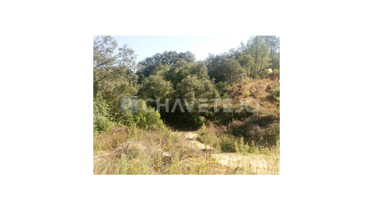 Terreno para Venda em Carregueiros Foto 1