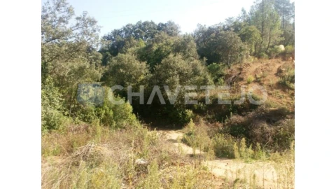 Terreno para Venda em Carregueiros