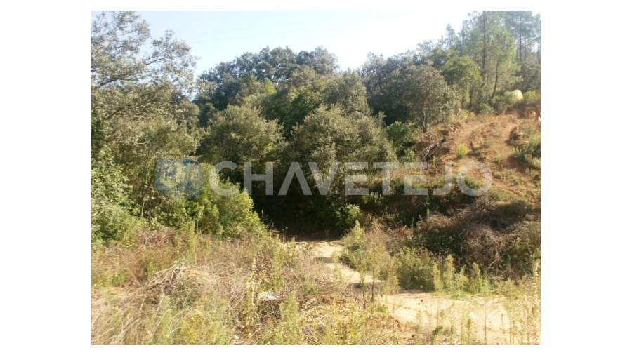 Terreno para Venda em Carregueiros