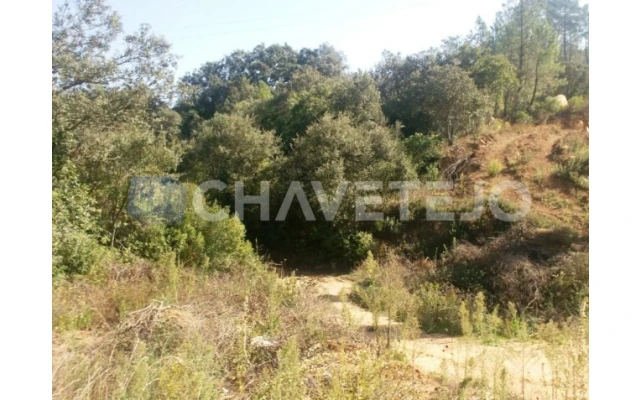 Terreno para Venda em Carregueiros