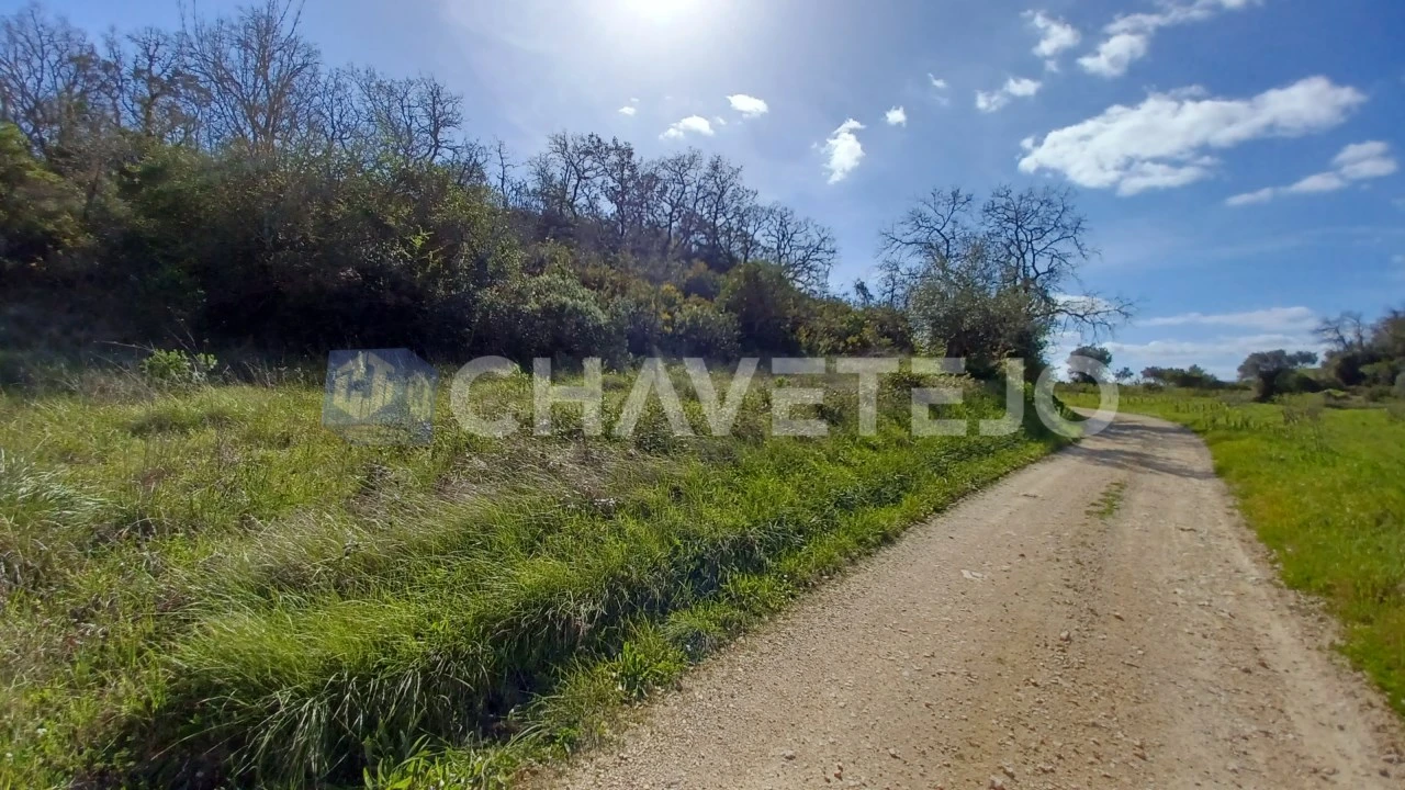 Terreno para Venda em Paialvo Foto 1